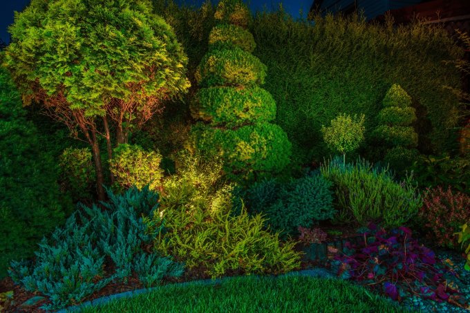 Illuminated Garden