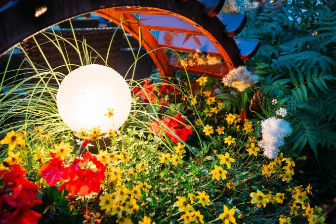 Illuminated Flowerbed